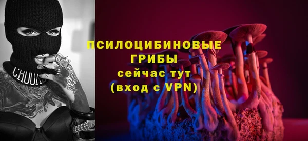 дурь Бронницы