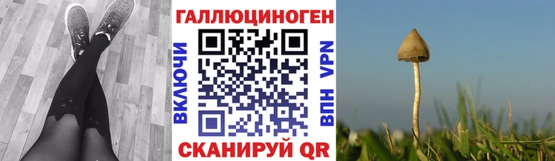 Галлюциногенные грибы Psilocybine cubensis  купить наркотики цена  Красногорск 